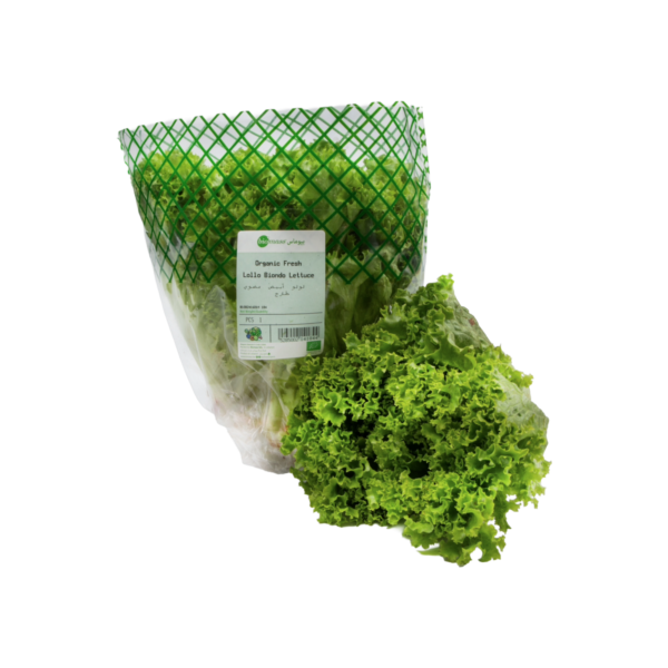 Biomass Organic Lollo Biondo Lettuce