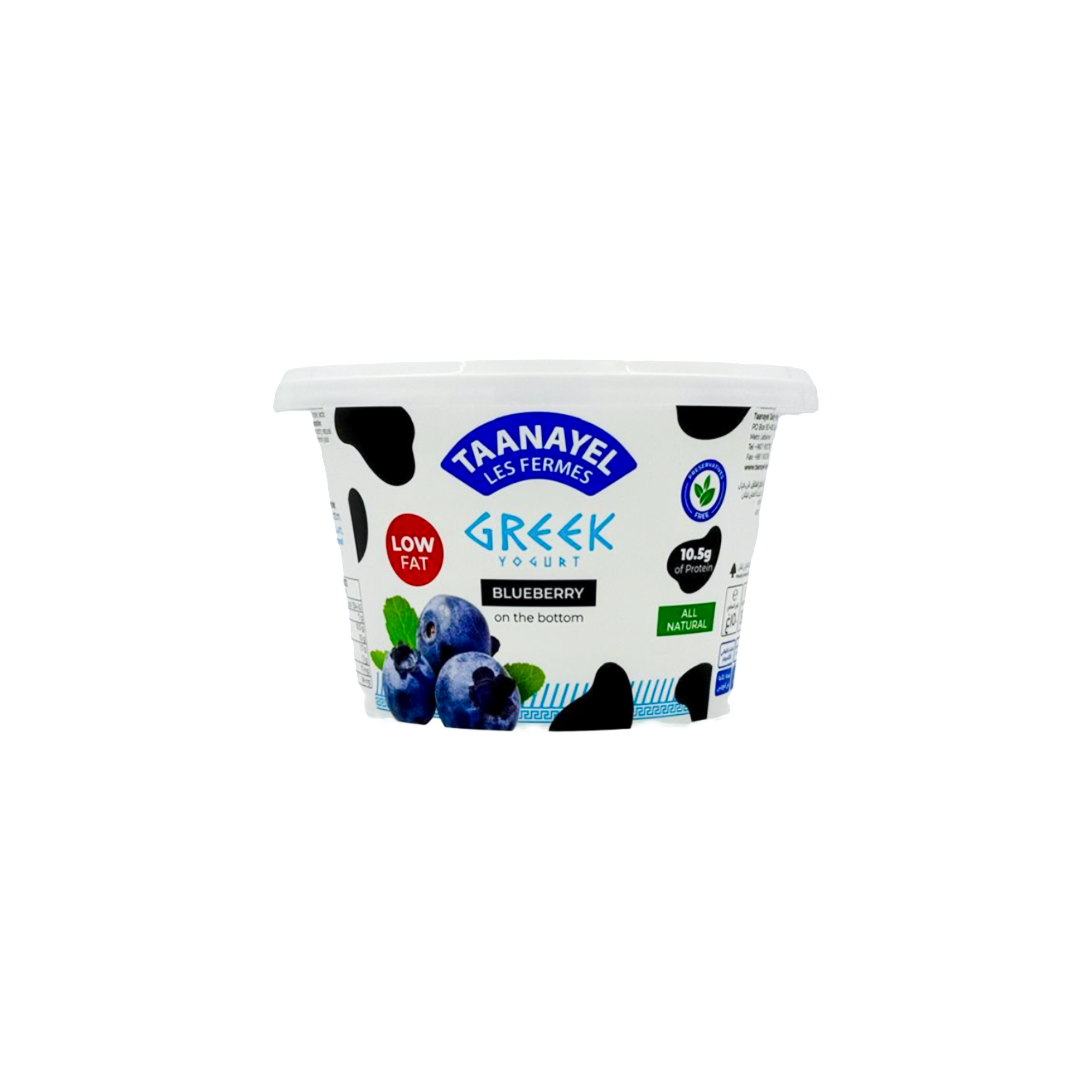 Taanayel Low Fat Blueberry Greek Yogurt 150g